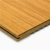 Silentical 2/2/0.5 Wooden Micro-Perforated Panel