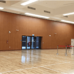 Alternative view of Silentical 8/8/1 Wooden Micro-Perforated Panel