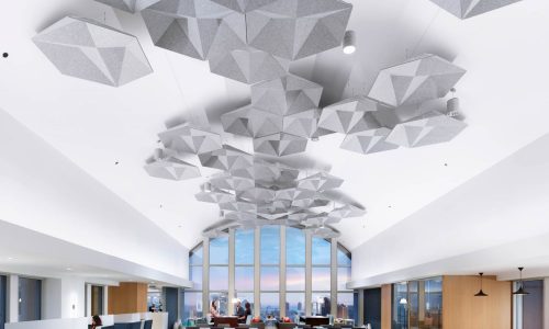 commercial-acoustical-ceiling-cloud