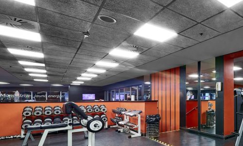 gym-acousticaal-ceiling-tile